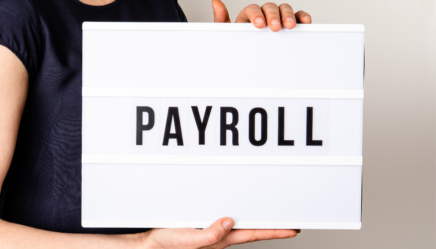 Payroll. Bonuses, insurance, benefits and careers concept