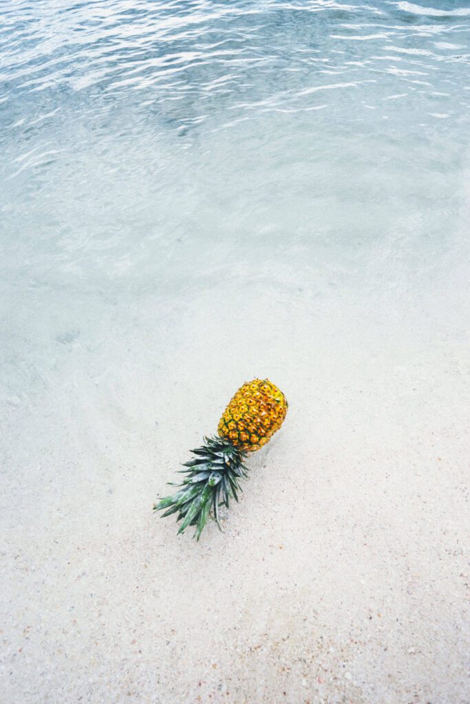 pineapple-supply-co